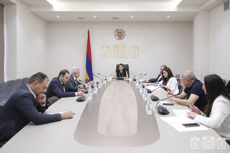 ԵՆԱԲ անդամակցումը Հայաստանի համար հնարավորություն է ընձեռում մասնակցելու տարածաշրջանային խոշոր ներդրումային ծրագրերին․ քննարկում ԱԺ-ում