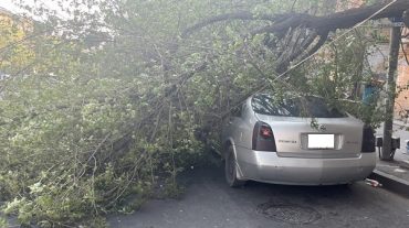 Ծառը կոտրվել և ընկել է ավտոմեքենայի վրա