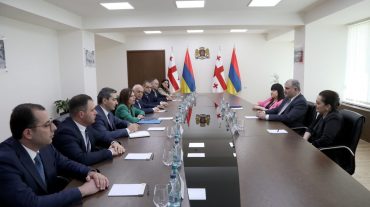 Անահիտ Ավանեսյանը Վրաստանի գործընկերոջ հետ քննարկել է դեղերի գների և գրանցման քաղաքականությունը պարբերաբար վերանայելու անհրաժեշտությունը