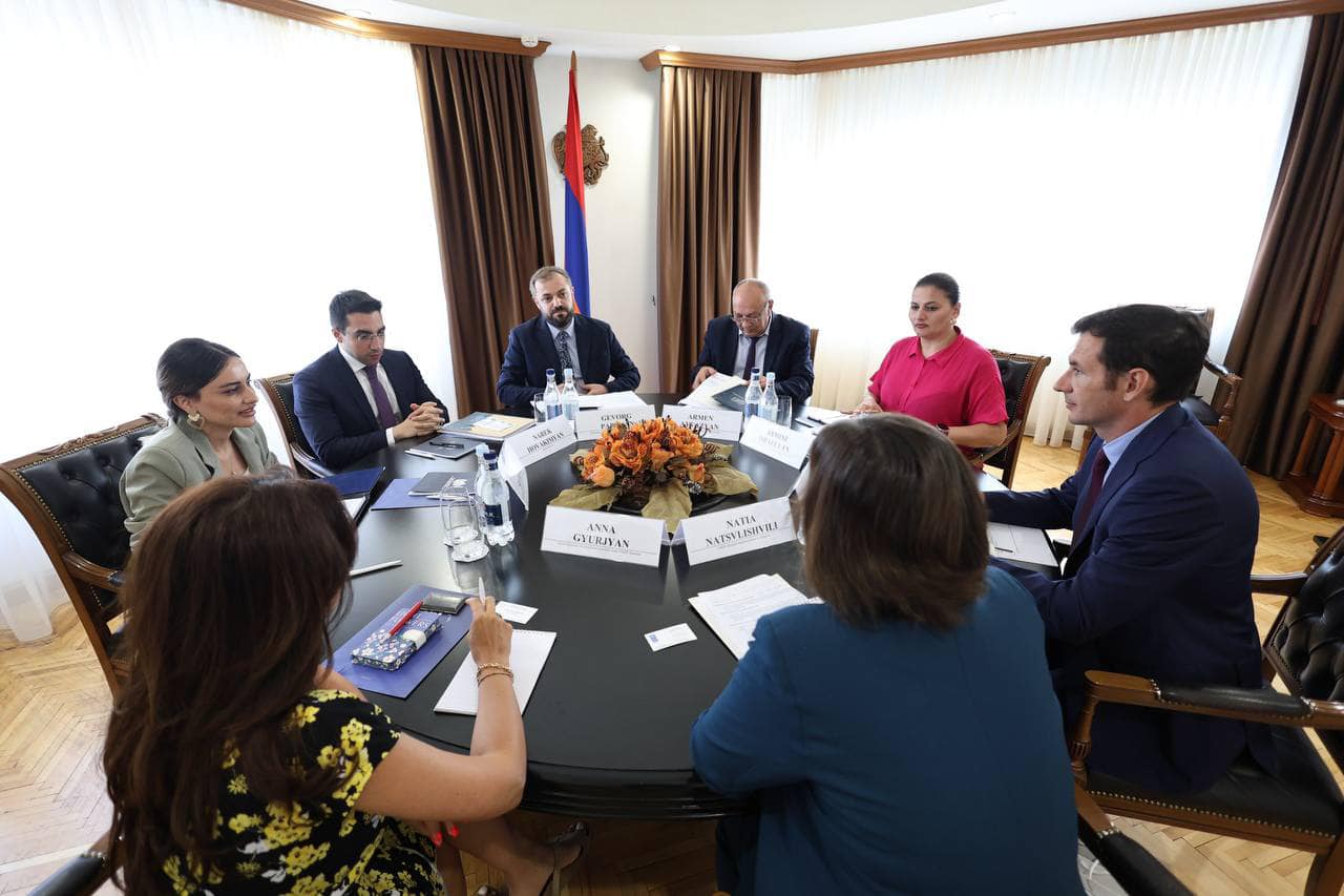 Գևորգ Պապոյանն ընդունել է Հայաստանում ՄԱԿ-ի Զարգացման ծրագրի մշտական ներկայացուցչին