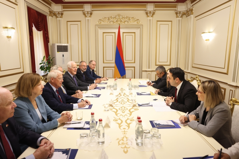 Շնորհակալ ենք ԱՄՆ-ին Հայաստանի ժողովրդավարական տեսլականին շարունակական աջակցության համար. Ալեն Սիմոնյան