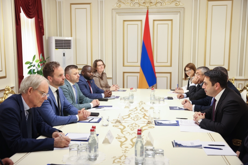 Կարևորում ենք վիզաների ազատականացման շուրջ երկխոսության մեկնարկը. Ալեն Սիմոնյանն ընդունել է Նիդերլանդների խորհրդարանի պատվիրակությանը