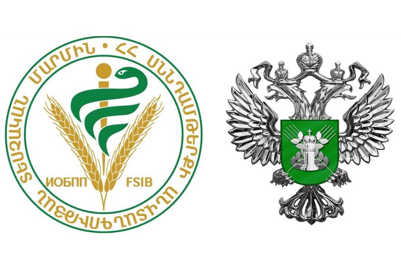 Երկուշաբթի օրը կվերացվի գյուղմթերքի՝ ՌԴ ներմուծման սահմանափակումը կազմակերպություններից մեկի համար. ՍԱՏՄ
