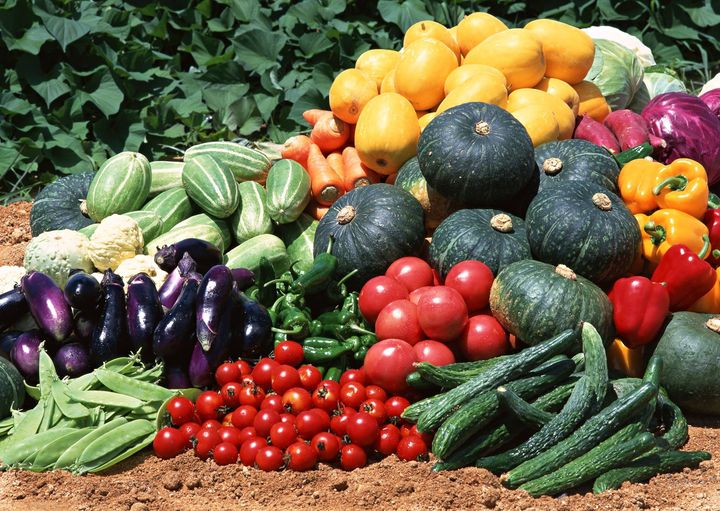 Օգոստոսի 19-25-ի ագրոօդերևութաբանական տեղեկատվությունը