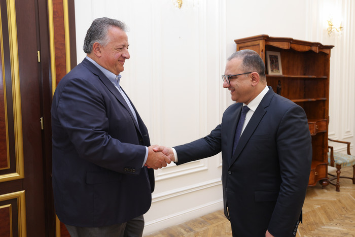 Փոխվարչապետ Տիգրան Խաչատրյանն ընդունել է հայազգի գործարար և բարերար Նուբար Աֆեյանին