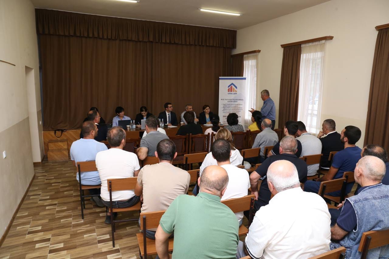 Գավառ քաղաքում կայացել է Էկոնոմիկայի նախարարության և գործարարների հետ հանդիպում