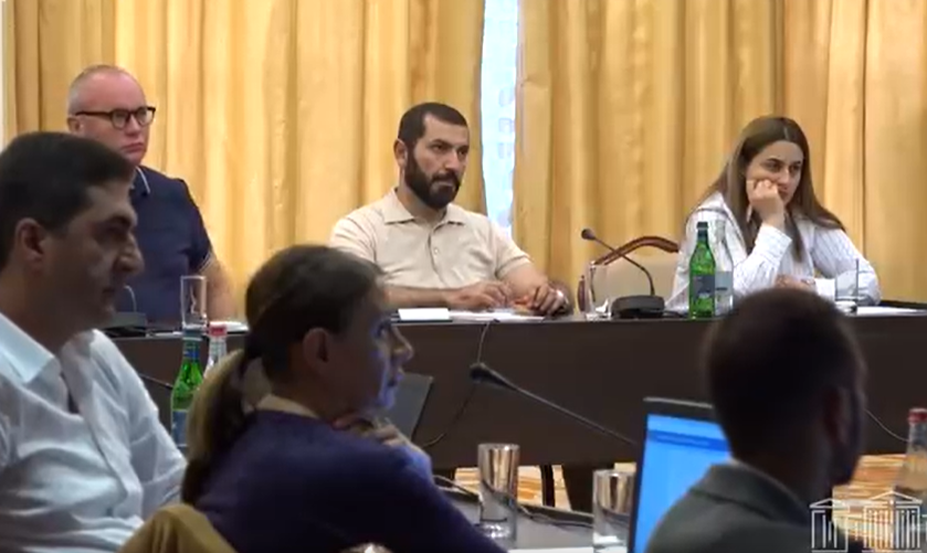 ԱԺ-ում քննարկվել են համընդհանուր պարբերական դիտարկման 4-րդ շրջանի ՀՀ ազգային զեկույցի ուղղությամբ կատարվող աշխատանքները