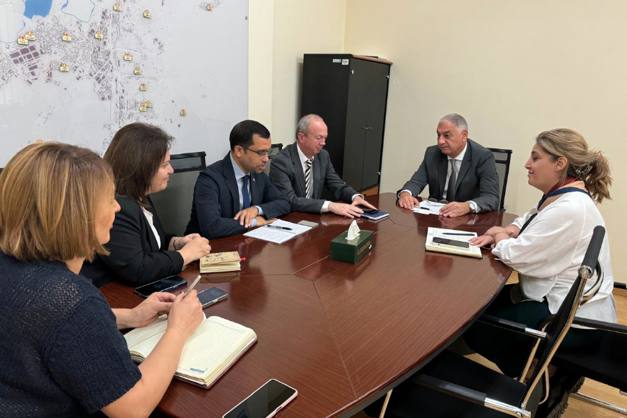 Երևանի քաղաքապետարանի աշխատակազմի առողջության վարչության պետը հանդիպել է ԱՀԿ հայաստանյան գրասենյակի ղեկավարի հետ