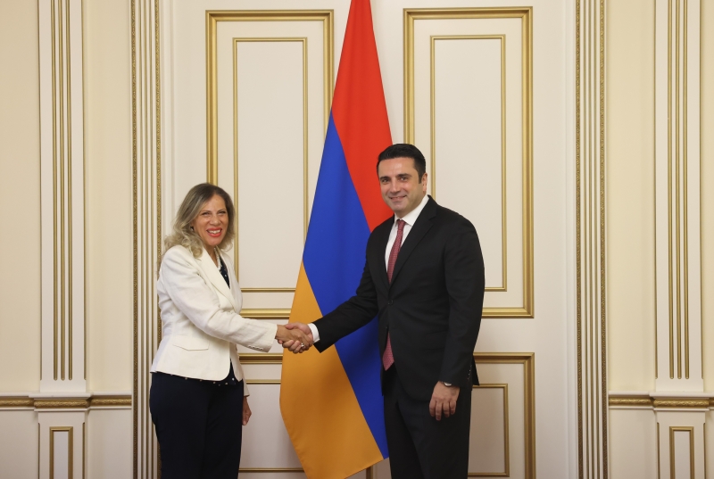 Ալեն Սիմոնյանն ընդունել է Հայաստանում Եգիպտոսի դեսպան Սերենադ Գամիլին