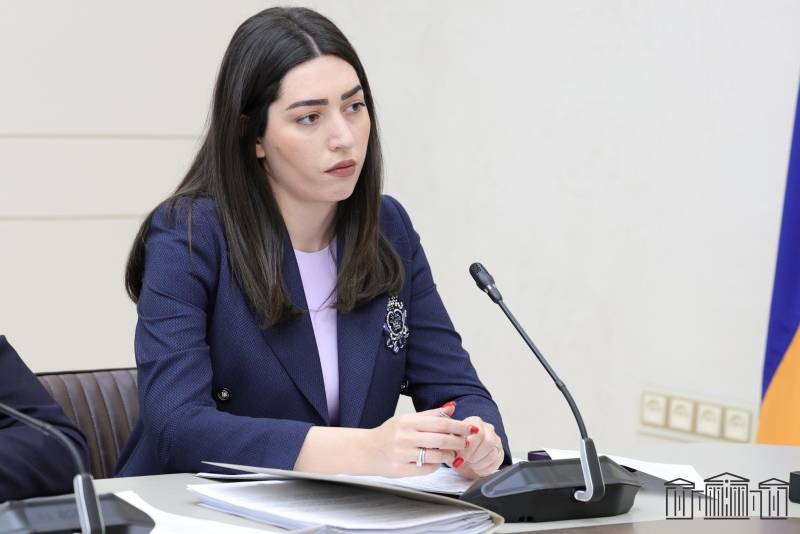 Նախագծի նպատակն է բացառել լիազորող նորմի բացակայությամբ ընդունված ենթաօրենսդրական նորմատիվ իրավական ակտերի առկայությունը