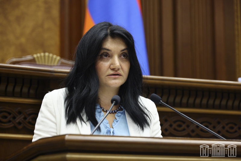 Առաջարկվում է օրենքով նախատեսել բուժաշխատողների համար պարտադիր համարվող ՇՄԶ դասընթացներ