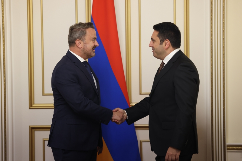 Ալեն Սիմոնյանը հույս է հայտնել, որ Լյուքսեմբուրգը ջանքեր կներդնի հայ գերիներին Հայաստան վերադարձնելու հարցում