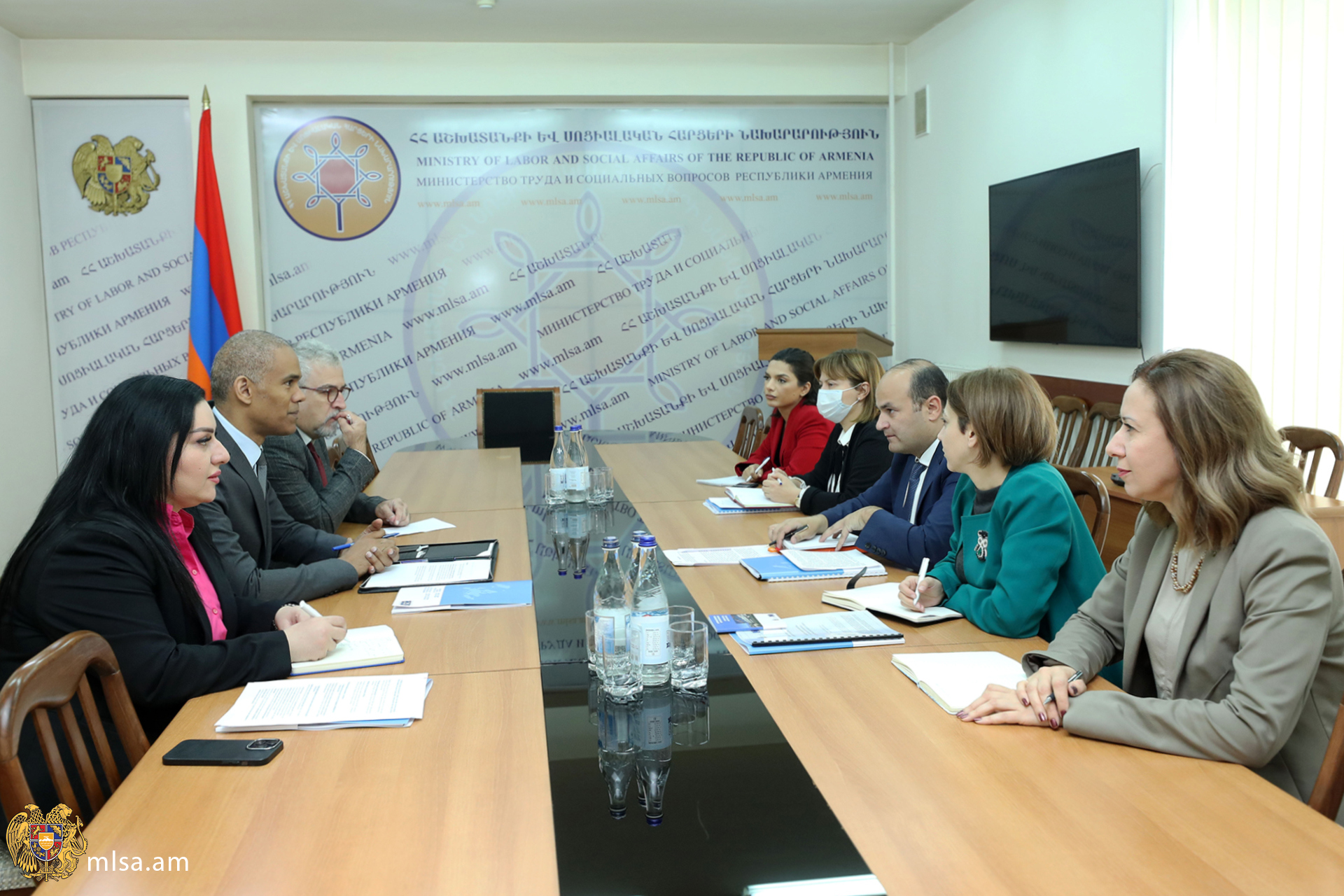Հայաստանում Եվրոպայի խորհրդի գրասենյակի ղեկավարի հետ քննարկվել են աշխատանքի և սոցիալական պաշտպանության ոլորտում փոխադարձ հետաքրքրություն ներկայացնող հարցեր