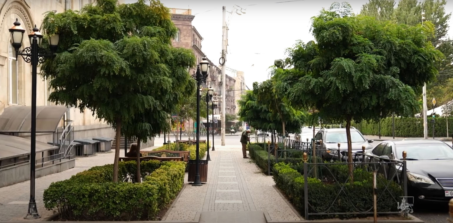 Մշտադալար թփեր՝ Ալեք Մանուկյան փողոցում
