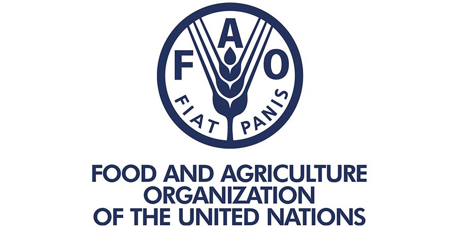 FAO-ն գրանցել է վերջին 1,5 տարվա ընթացքում պարենի համաշխարհային գների ամենաարագ աճը