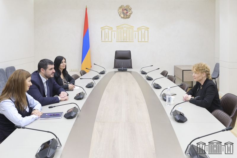 Արման Եղոյանն ընդունել է Շվեդիայի Ռիկսդագի պատգամավորին