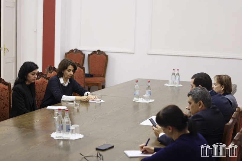 Հանձնաժողովի անդամները հանդիպել են Անվտանգության ոլորտի կառավարման Ժնեւի կենտրոնի Եվրոպայի եւ Կենտրոնական Ասիայի բաժնի պետի տեղակալի հետ