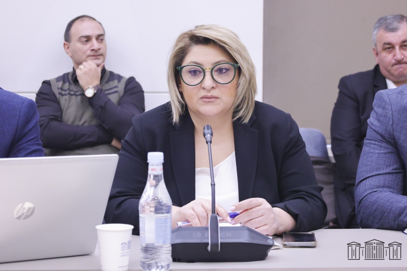 Նախատեսվում է Կայունացման և զարգացման Եվրասիական հիմնադրամի միջոցներից Հայաստանին տրամադրել 200 մլն ԱՄՆ դոլարի չափով վարկ
