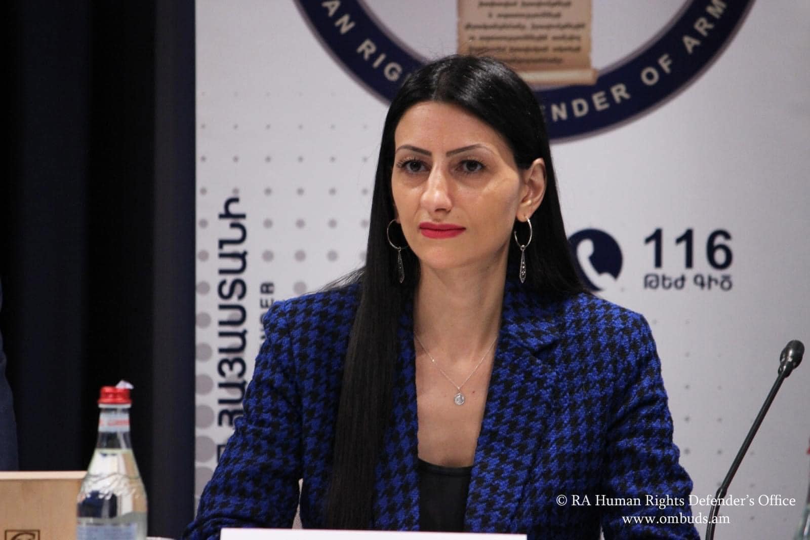 Պետությունը պարտավոր է ապահովել մարդու իրավունքների պաշտպանությունը երաշխավորող կառուցակարգեր և հետևողականորեն զարգացնել դրանք․ Մանասյան