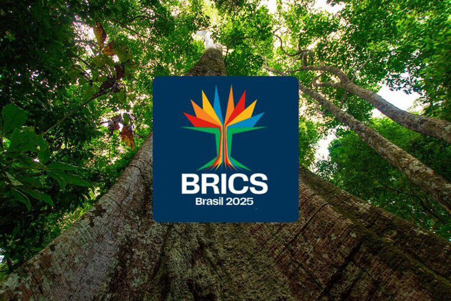 Բրազիլիան ներկայացրել է BRICS-ի իր նախագահության լոգոն