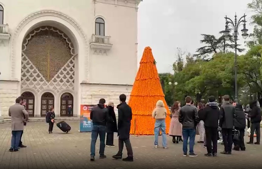 Աբխազիայի մայրաքաղաքում մանդարինից հինգ մետրանոց տոնածառ է կառուցվել