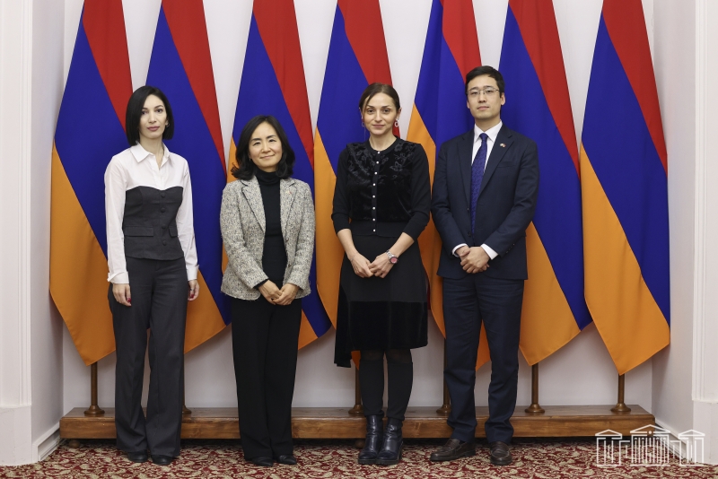 Քննարկվել են միջազգային կազմակերպությունների հետ համագործակցության հեռանկարները