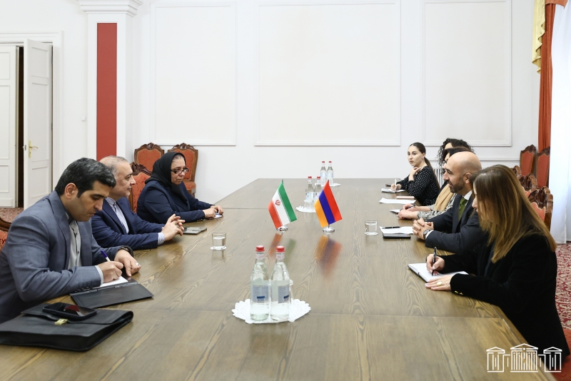 Նարեկ Բաբայանը հանդիպել է Հայաստանում Իրանի արտակարգ և լիազոր դեսպանի հետ