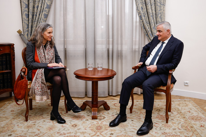 Փոխվարչապետ Մհեր Գրիգորյանն ընդունել է Հարավային Կովկասի և Վրաստանում ճգնաժամի հարցերով ԵՄ նորանշանակ հատուկ ներկայացուցչին