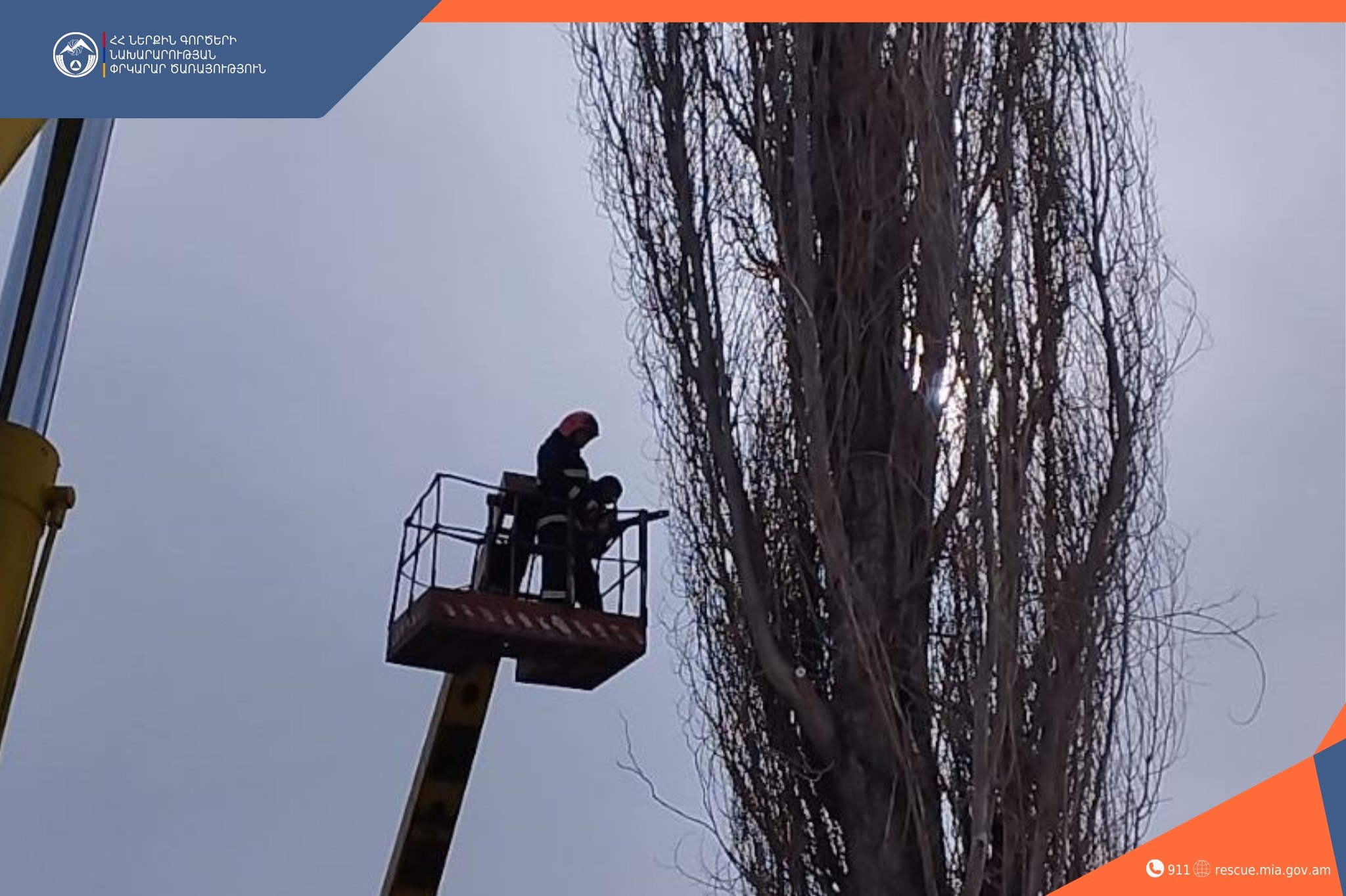 Փրկարարները մասնատել են վտանգ ներկայացնող ծառը