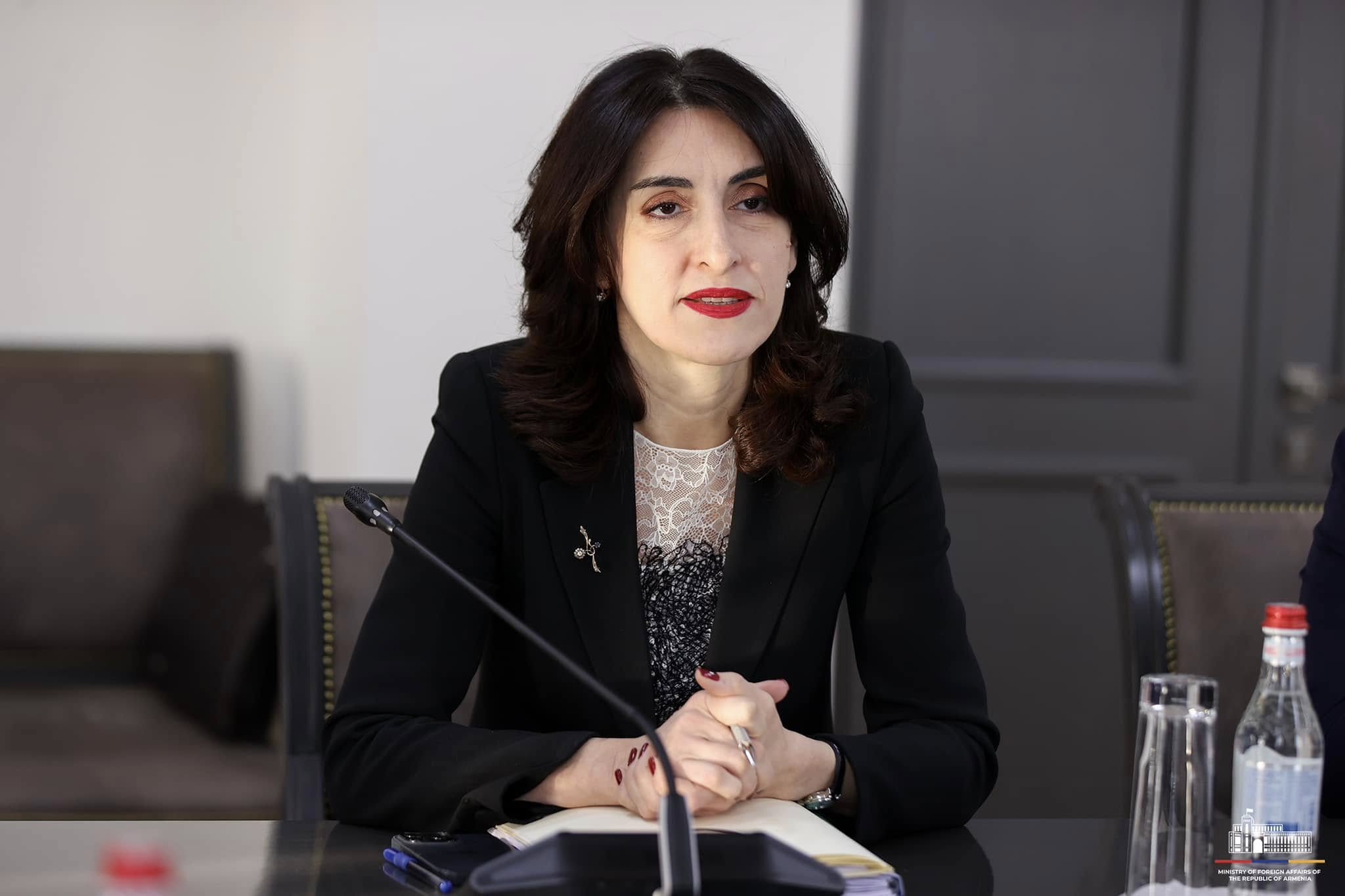 Վրաստանը ցանկանում է ֆասիլիտատորի դեր ստանձնել՝ Հարավային Կովկասում խաղաղությունն ու կայունությունն ամրապնդելու նպատակով