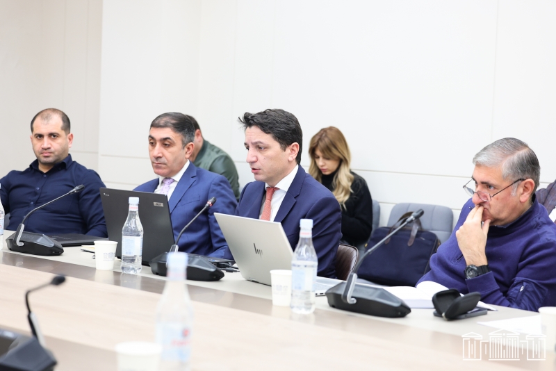 Հանձնաժողովում քննարկվել է 2024 թ. պետական բյուջեի ինն ամիսների կատարման ընթացքի վերաբերյալ տեղեկանքը
