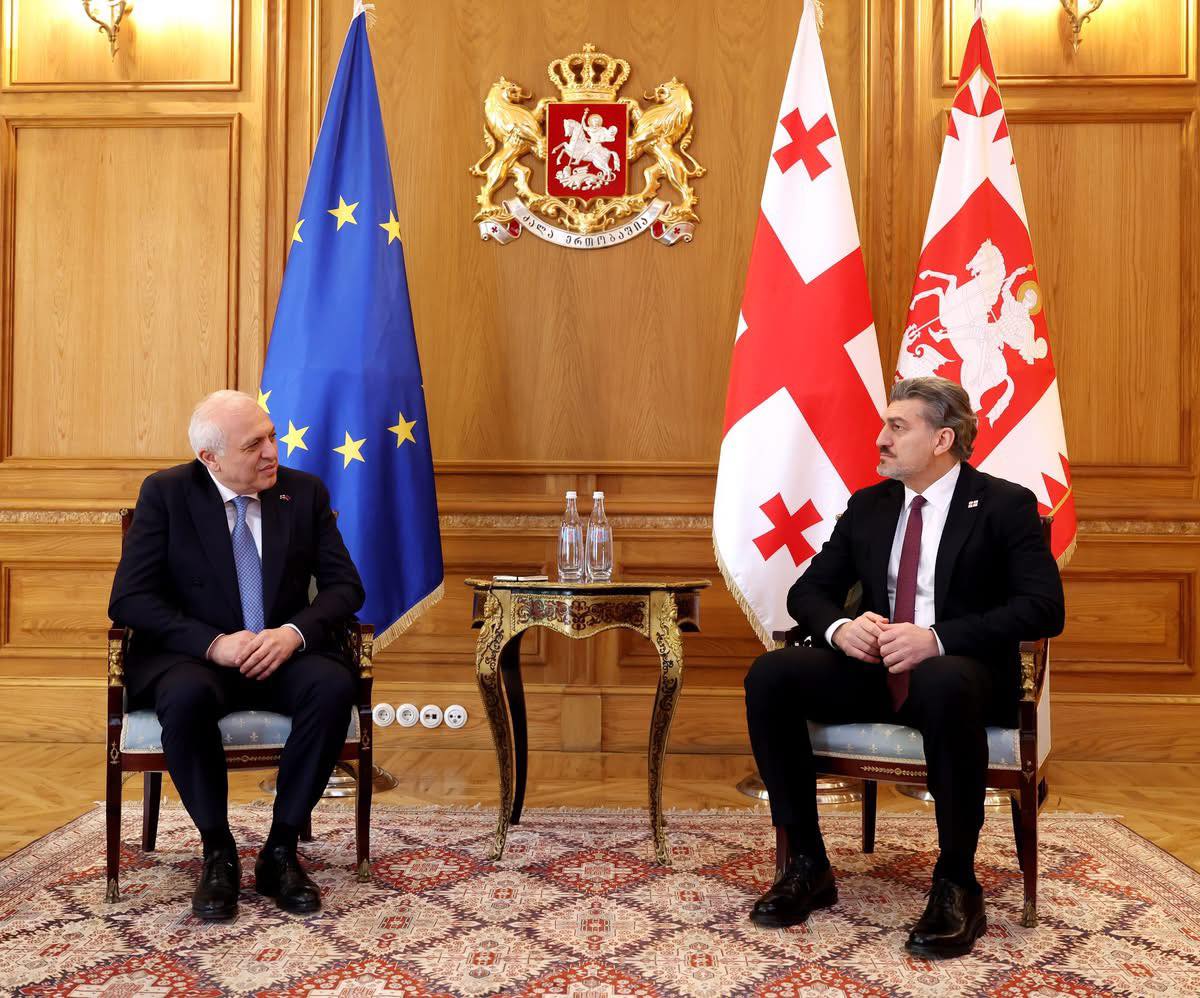 ՀՀ դեսպանը և Վրաստանի նախագահը քննարկել են տարածաշրջանային և միջազգային օրակարգի մի շարք հարցեր