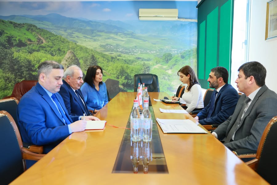 Շրջակա միջավայրի նախարարն ընդունել է Վրաստանի դեսպանին