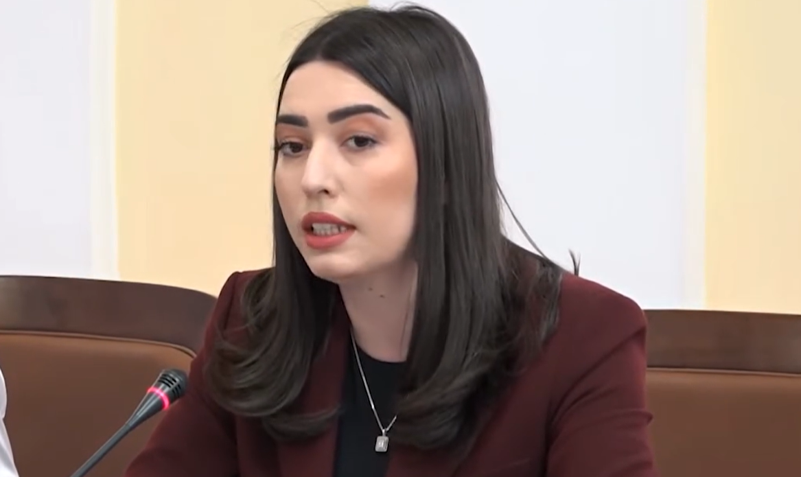 Վիզաների ազատականացման գործողությունների ծրագրի մշակումն ակտիվ փուլում է․ ՆԳ նախարար