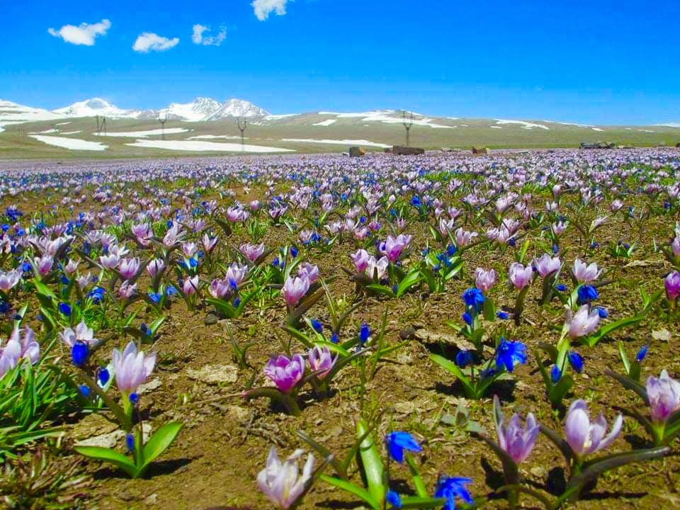 Առաջիկա օրերի եղանակային կանխատեսումը