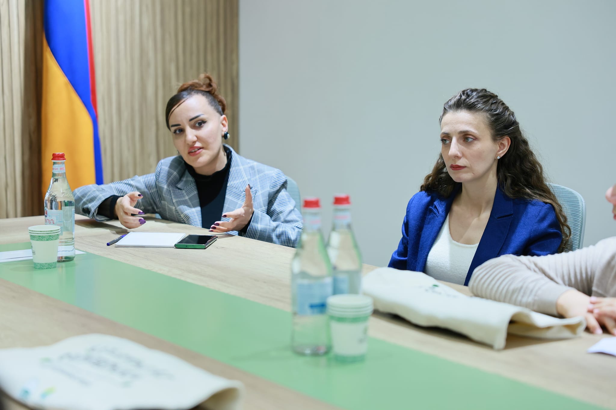 Մթնոլորտային օդի պահպանության վերաբերյալ էկոկրթական դաս՝ Շրջակա միջավայրի նախարարությունում