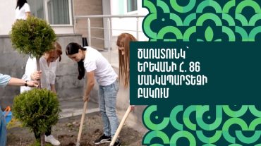 Ծառատունկ՝ Երևանի հ. 86 մանկապարտեզի բակում
