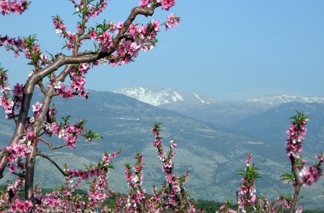 Ինչպիսի եղանակ է սպասվում առաջիկա օրերին