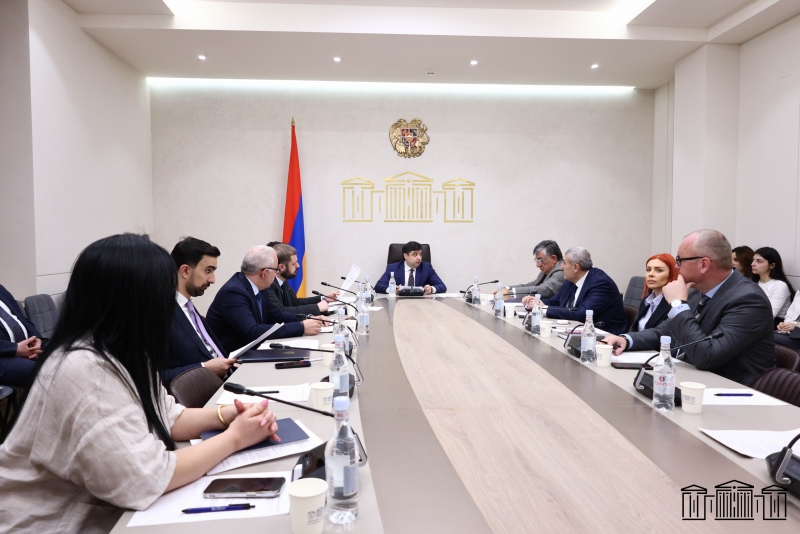 Հանձնաժողովը քննարկել է «ՀՀ կառավարության ծրագրի 2024 թվականի կատարման ընթացքի և արդյունքների մասին» զեկույցը