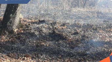 Փրկարարներին հաջողվել է մարել Արծվաբերդ գյուղում խոտածածկ տարածքի հրդեհը