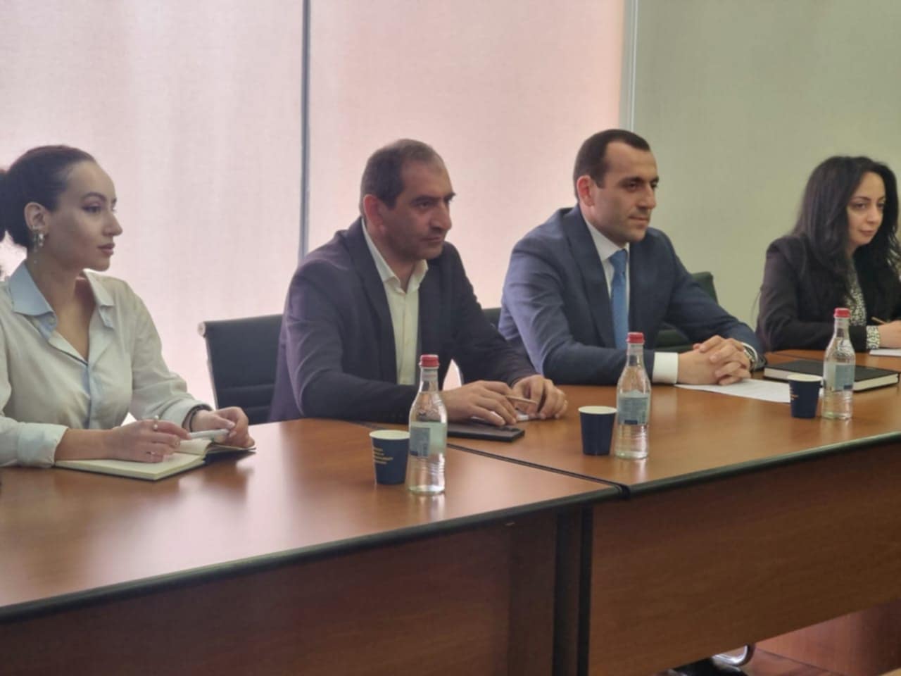 ՏԿԵ նախարարի տեղակալն ընդունել է Չեխիայի դեսպանին