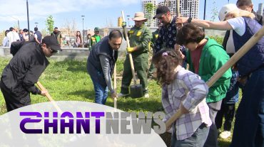 Երևանի բոլոր վարչական շրջաններում ակտիվ ծառատունկ է սպասվում