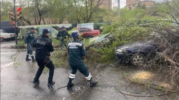 Նոր Նորքում ծառը պոկվել և ընկել է կայանված «Toyota»-ի և «Opel»-ի վրա