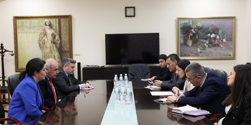 Հայաստանում կանցկացվեն Վրաստանի մշակույթի օրեր