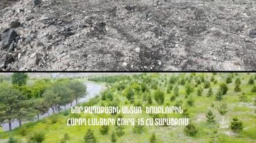 «Եռաբլուր» զինվորական պանթեոնին հարող լանջերի շուրջ նոր քաղաքային անտառ է հիմնվել