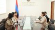 Աննա Կարապետյանը ԵՄ գործընկերոջն է ներկայացրել Հայաստանում խտրականության դեմ պայքարի և իրավահավասարության ապահովման ոլորտում ձեռնարկված քայլերը
