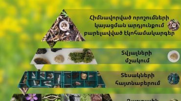 Ի՞նչ է կենսաբազմազանության մոնիթորինգը