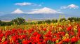 Ինչպիսի եղանակ է սպասվում առաջիկա օրերին