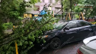 Երևանում ուժեղ քամու հետևանքով ծառի ճյուղը պոկվել և ընկել է կայանված «Toyota Camry»-ի վրա