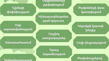 Մեր ժամանակների 15 ամենամեծ բնապահպանական խնդիրները